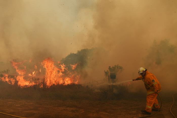 Más de 150 incendios forestales continúan activos en el este de Australia y se acercan a Sidney