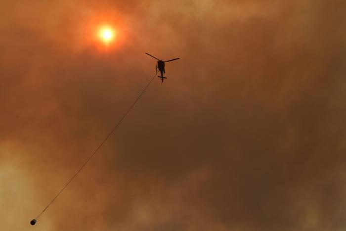Más de 150 incendios forestales continúan activos en el este de Australia y se acercan a Sidney