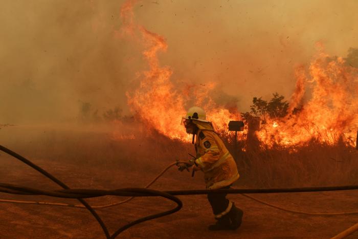 Más de 150 incendios forestales continúan activos en el este de Australia y se acercan a Sidney