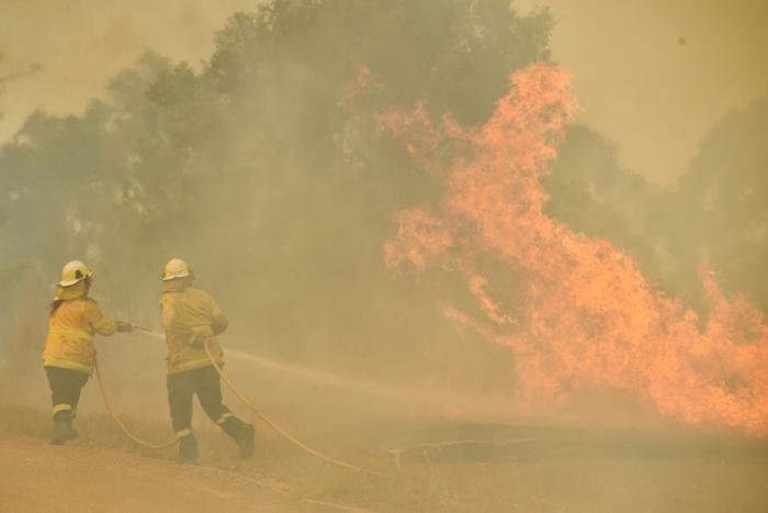 Más de 150 incendios forestales continúan activos en el este de Australia y se acercan a Sidney