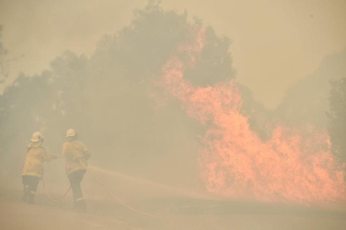 Más de 150 incendios forestales continúan activos en el este de Australia y se acercan a Sidney