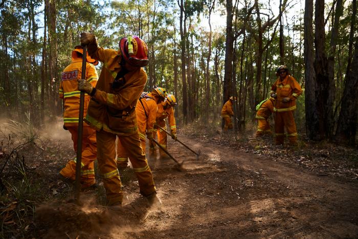 Más de 150 incendios forestales continúan activos en el este de Australia y se acercan a Sidney