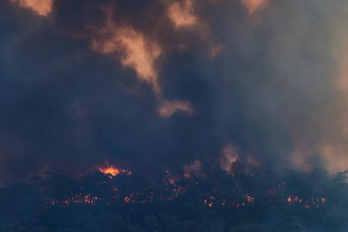 Más de 150 incendios forestales continúan activos en el este de Australia y se acercan a Sidney
