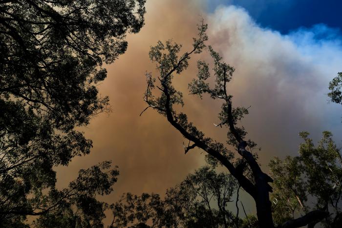 Más de 150 incendios forestales continúan activos en el este de Australia y se acercan a Sidney
