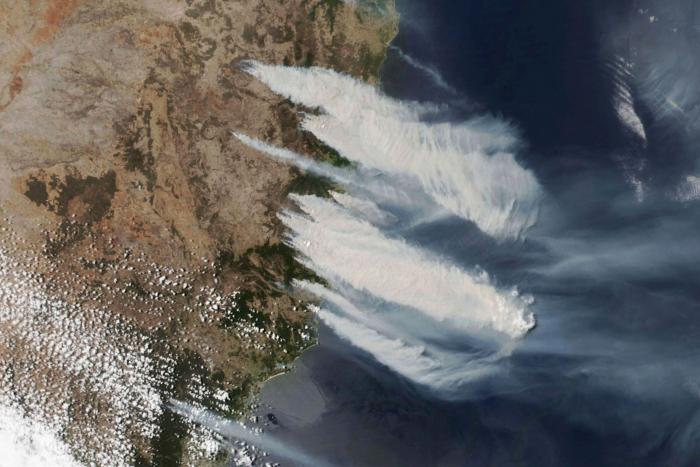 Más de 150 incendios forestales continúan activos en el este de Australia y se acercan a Sidney