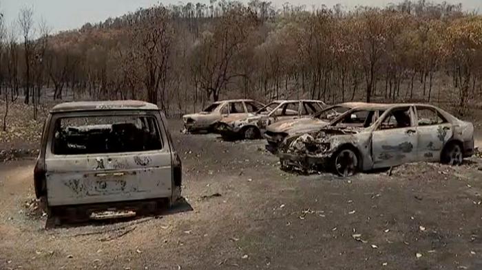 Más de 150 incendios forestales continúan activos en el este de Australia y se acercan a Sidney