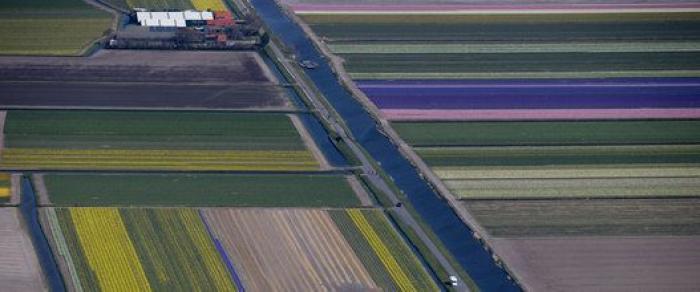 El primer ministro de Holanda dice que quiere "ayudar al Sur" pero "con reformas"