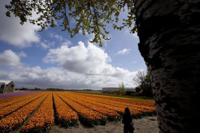 El primer ministro de Holanda dice que quiere "ayudar al Sur" pero "con reformas"