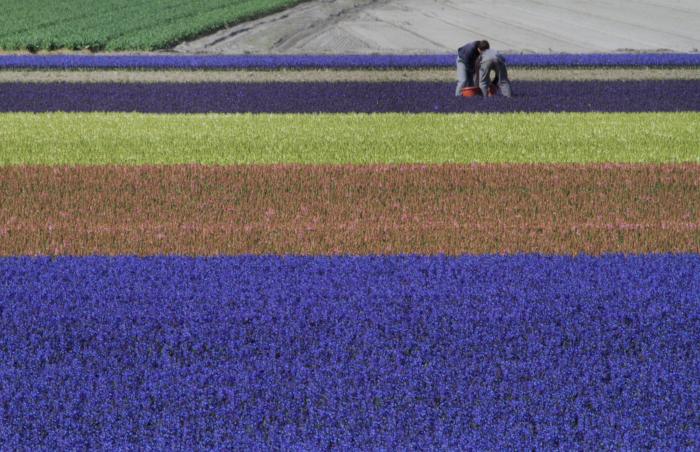 El primer ministro de Holanda dice que quiere "ayudar al Sur" pero "con reformas"
