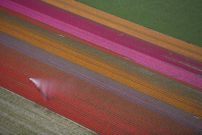 El primer ministro de Holanda dice que quiere "ayudar al Sur" pero "con reformas"