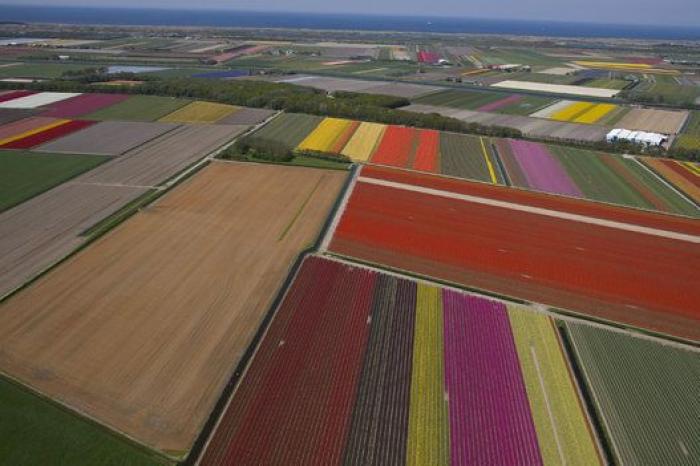 El primer ministro de Holanda dice que quiere "ayudar al Sur" pero "con reformas"