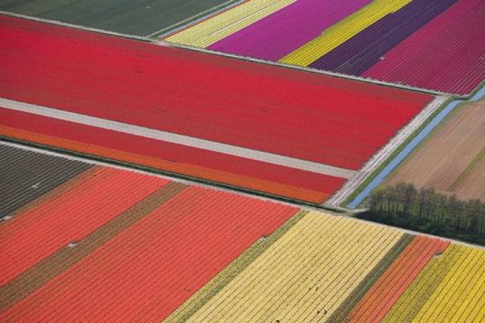 El primer ministro de Holanda dice que quiere "ayudar al Sur" pero "con reformas"