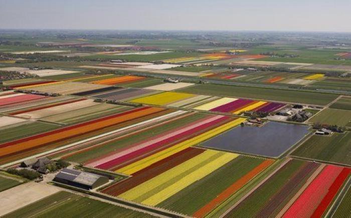 El primer ministro de Holanda dice que quiere "ayudar al Sur" pero "con reformas"