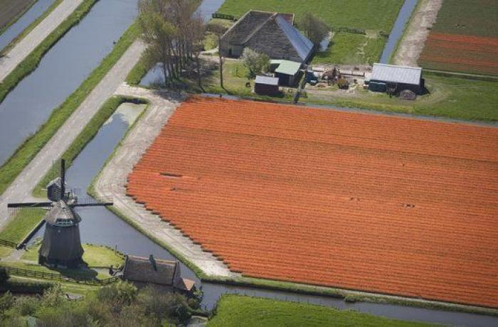 El primer ministro de Holanda dice que quiere "ayudar al Sur" pero "con reformas"