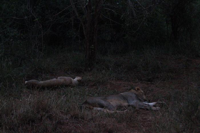 Dormir desnudo no te ayuda a tener menos calor en verano, dicen los expertos