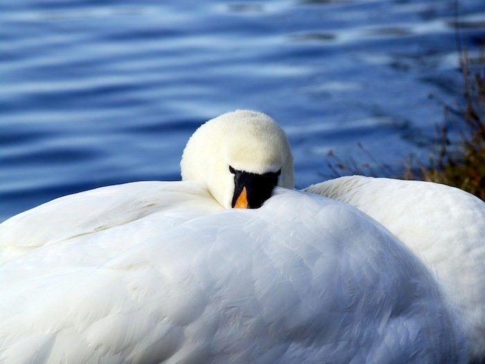 Dormir desnudo no te ayuda a tener menos calor en verano, dicen los expertos