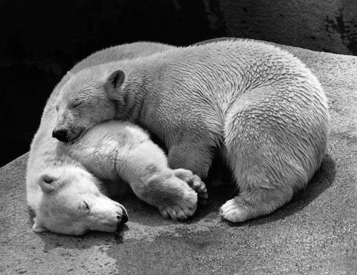 Dormir desnudo no te ayuda a tener menos calor en verano, dicen los expertos