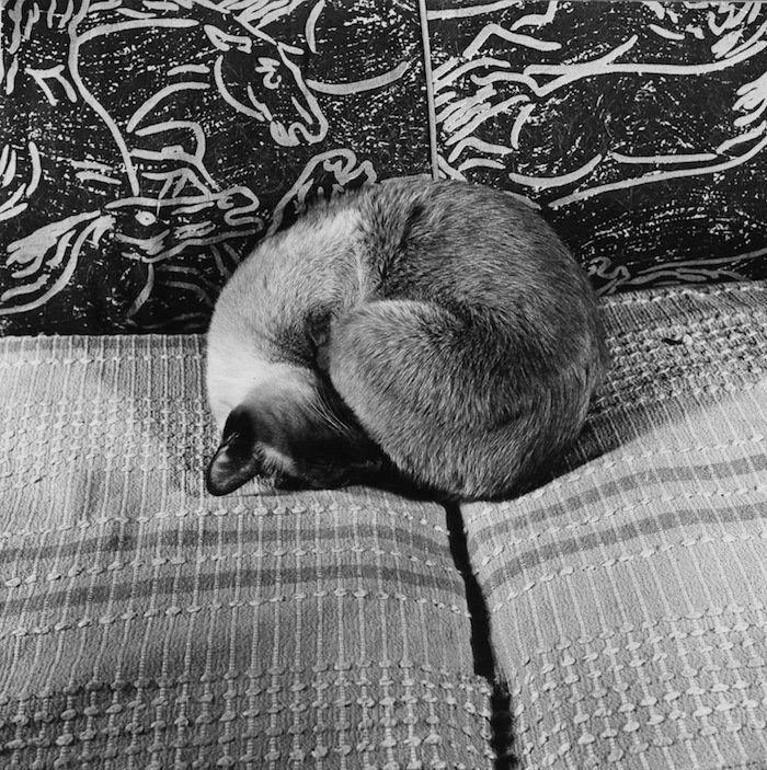 Dormir desnudo no te ayuda a tener menos calor en verano, dicen los expertos