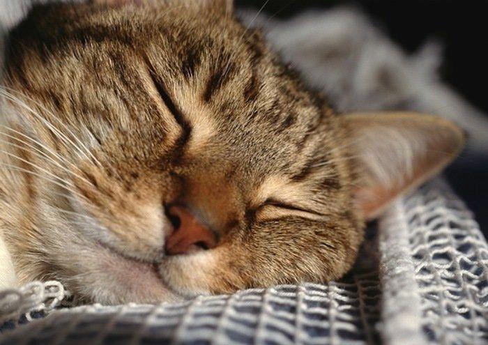 Dormir desnudo no te ayuda a tener menos calor en verano, dicen los expertos