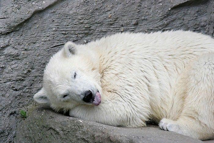 Dormir desnudo no te ayuda a tener menos calor en verano, dicen los expertos