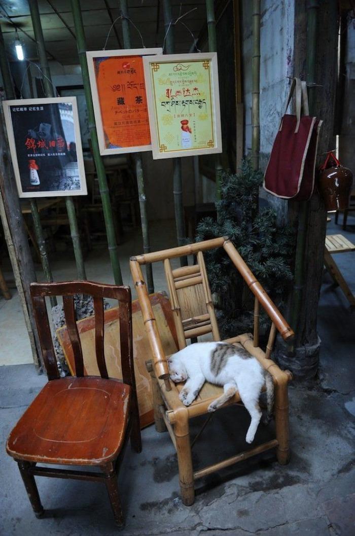 Dormir desnudo no te ayuda a tener menos calor en verano, dicen los expertos