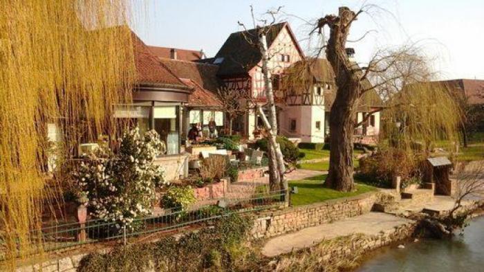 El dueño de un bar se corona con su respuesta a la crítica más extraña de un cliente en Google