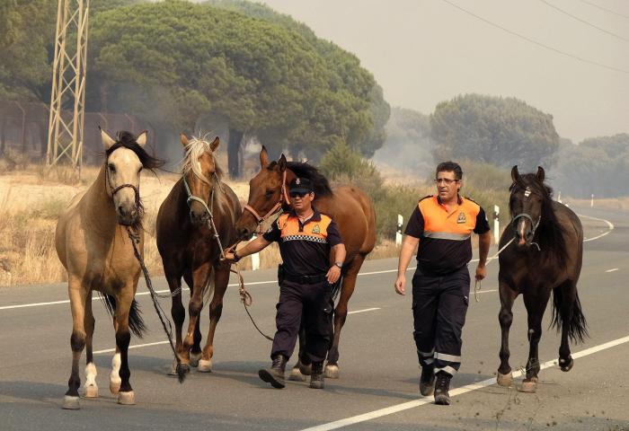 La justicia andaluza respalda el veto contra el almacén de gas en Doñana