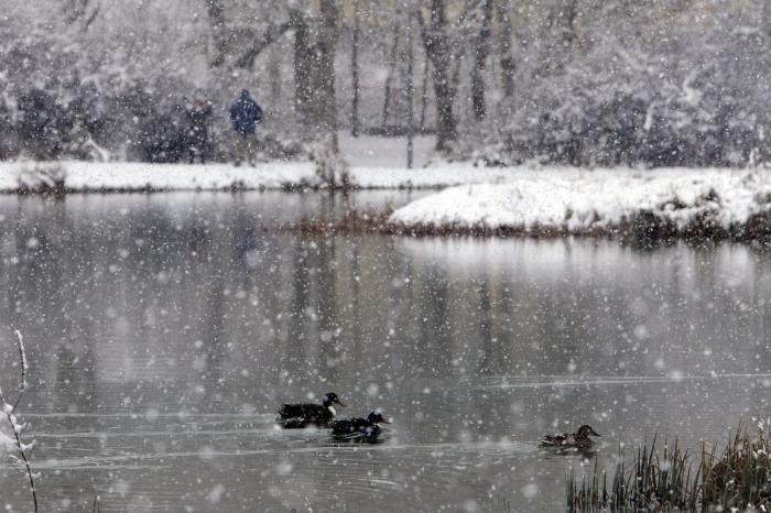 Fin de semana de nieve en el norte de España (FOTOS)