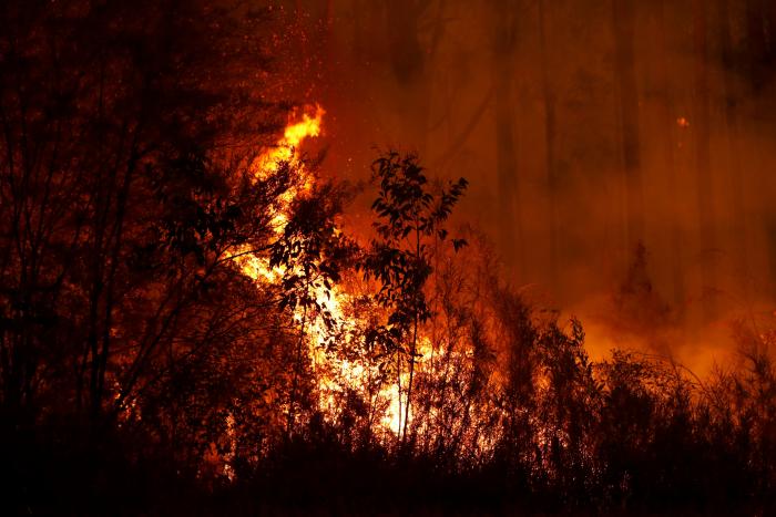 Éxodo masivo por la amenaza de un recrudecimiento de los incendios en Australia