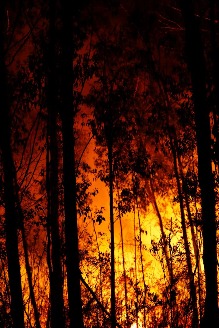 Éxodo masivo por la amenaza de un recrudecimiento de los incendios en Australia