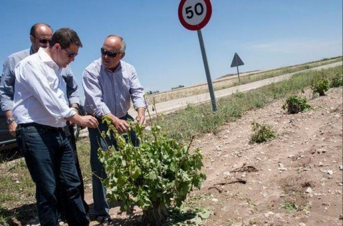 Page: "Lo de Bildu no tiene un pase"