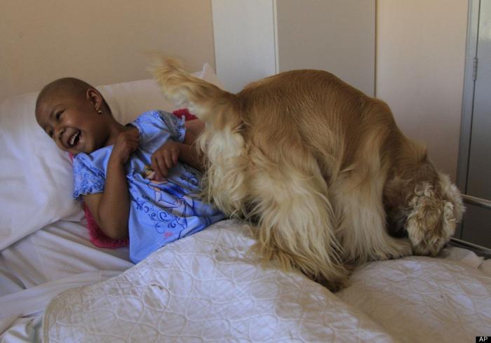 Siete avances contra el cáncer que invitan a la esperanza