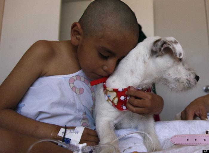 Siete avances contra el cáncer que invitan a la esperanza