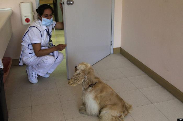 Siete avances contra el cáncer que invitan a la esperanza