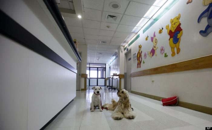 Siete avances contra el cáncer que invitan a la esperanza