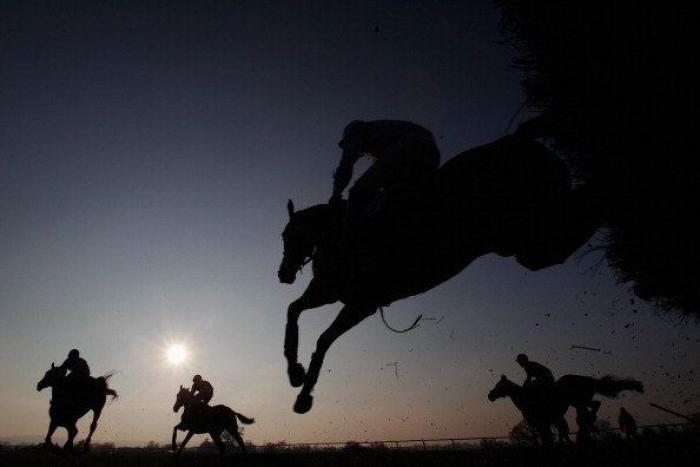 Detenido en Alicante el jefe del macrofraude europeo de la carne de caballo