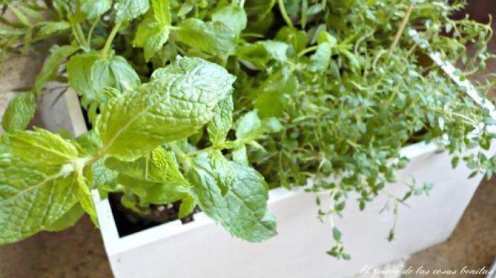 Todo lo que puedes hacer con una caja de vino... y un poco de maña (FOTOS)