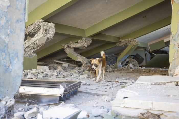 Terremoto en Puerto Rico: las impactantes imágenes de la destrucción causada por el peor temblor en un siglo