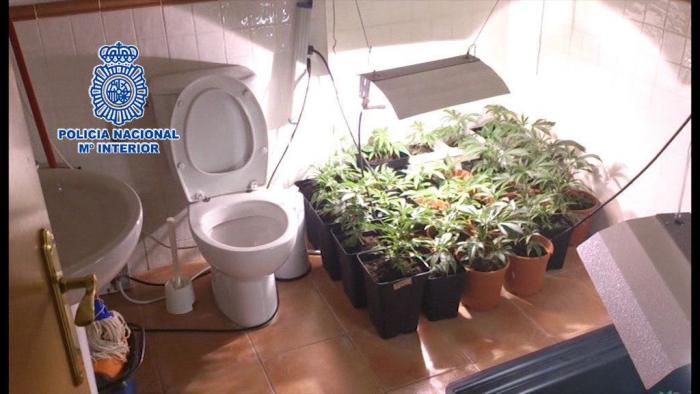 Unos 40 detenidos en un golpe de los Mossos al narcotráfico en Badalona