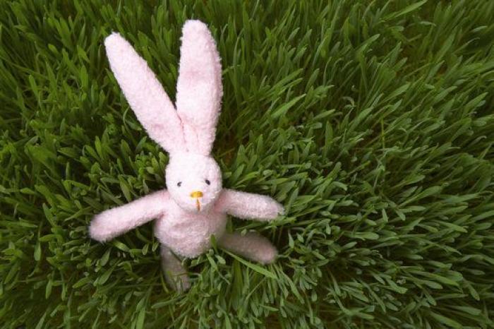 Guía rápida para entender los símbolos de lavado, secado y planchado de las etiquetas de la ropa