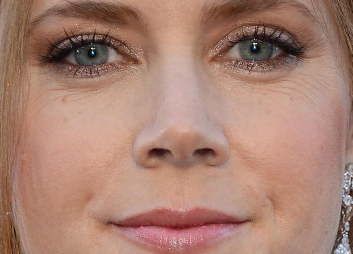 Ellen Degeneres es la próxima presentadora de los Oscar 2014