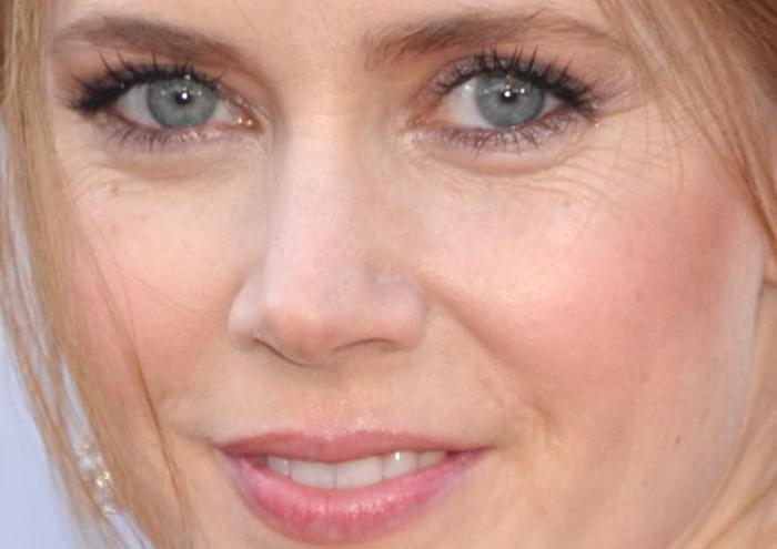 Ellen Degeneres es la próxima presentadora de los Oscar 2014