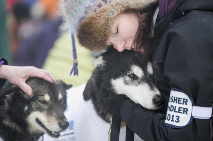 Bichinos en acción en Iditarod, la carrera de trineos tirados por perros más dura del mundo (FOTOS)