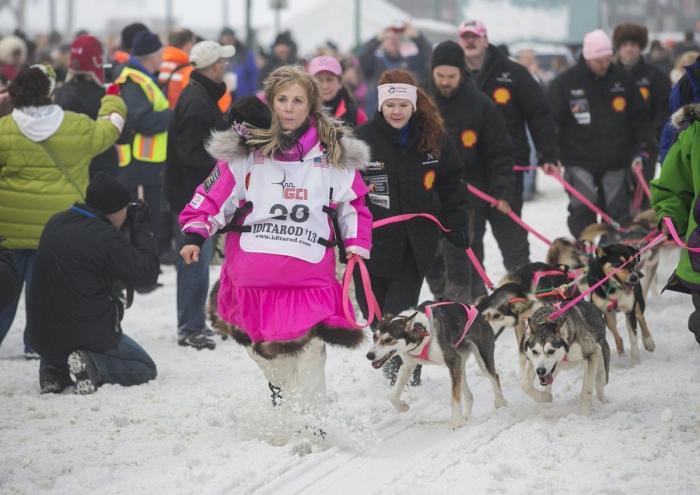 Bichinos en acción en Iditarod, la carrera de trineos tirados por perros más dura del mundo (FOTOS)