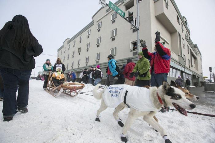 Bichinos en acción en Iditarod, la carrera de trineos tirados por perros más dura del mundo (FOTOS)