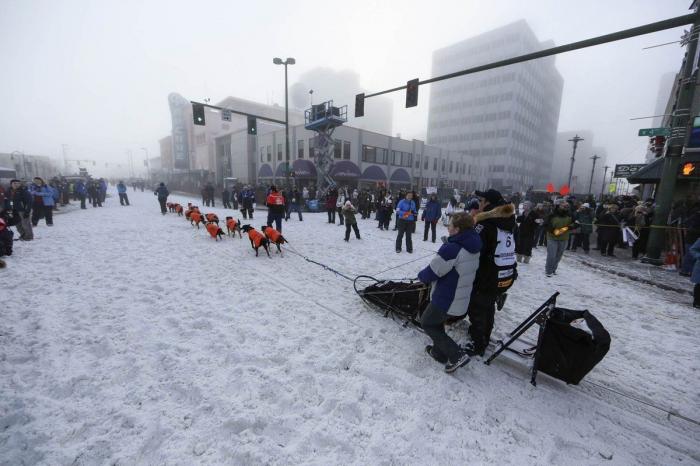 Bichinos en acción en Iditarod, la carrera de trineos tirados por perros más dura del mundo (FOTOS)