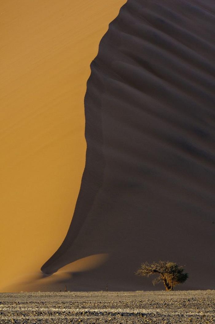 Concurso de fotografía de la revista Smithsonian: de la Vía Láctea al carrito de los helados (FOTOS)