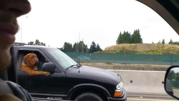 El ruego de la Guardia Civil a los conductores en carretera sobre un error MUY común