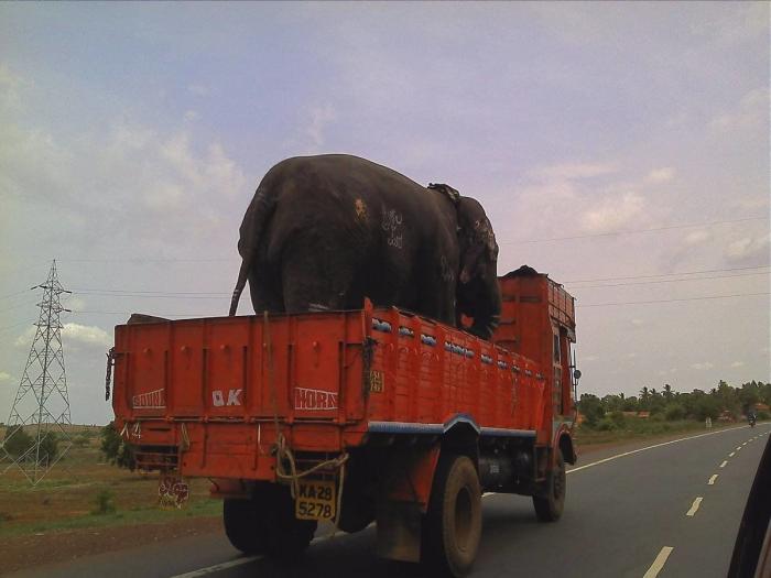 El ruego de la Guardia Civil a los conductores en carretera sobre un error MUY común