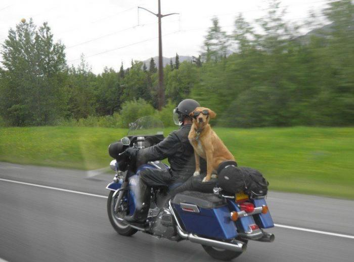 El ruego de la Guardia Civil a los conductores en carretera sobre un error MUY común